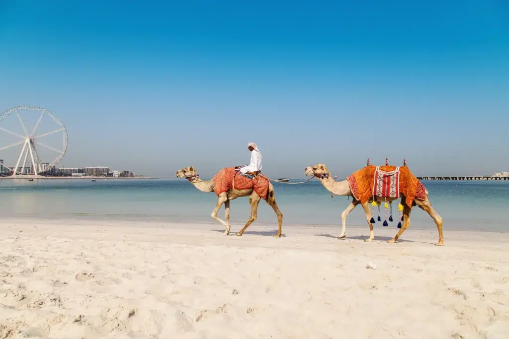 things to do in qatar